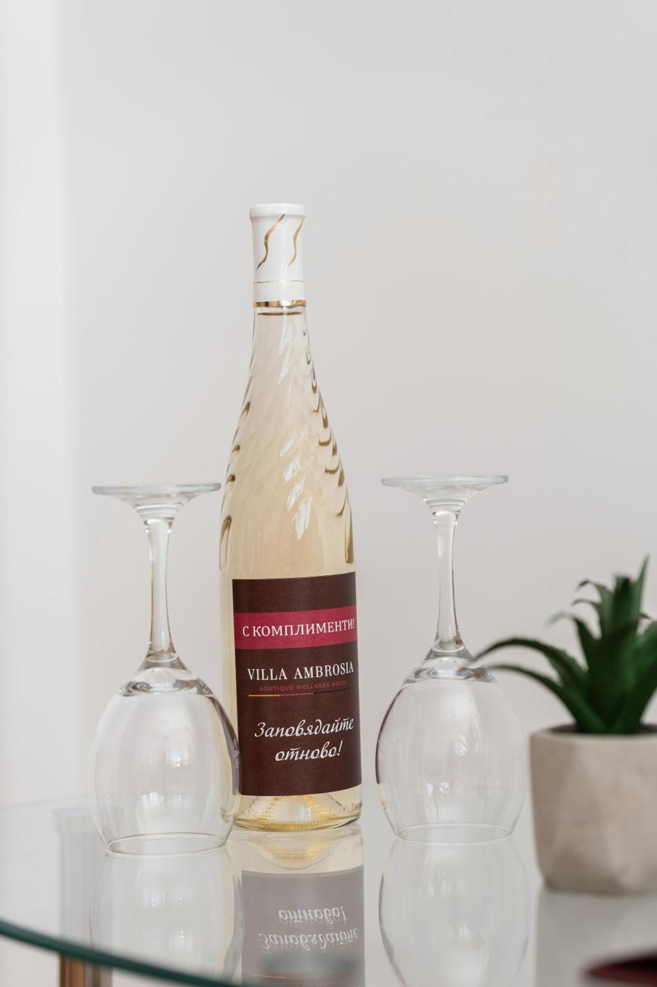 Boutique Wellness Hotel Ambrosia 切尔诺莫雷茨 外观 照片
